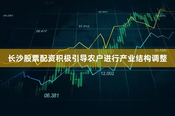 长沙股票配资积极引导农户进行产业结构调整