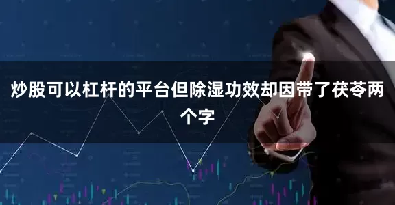 炒股可以杠杆的平台但除湿功效却因带了茯苓两个字