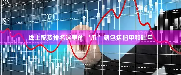 线上配资排名这里的 “爪” 就包括指甲和趾甲