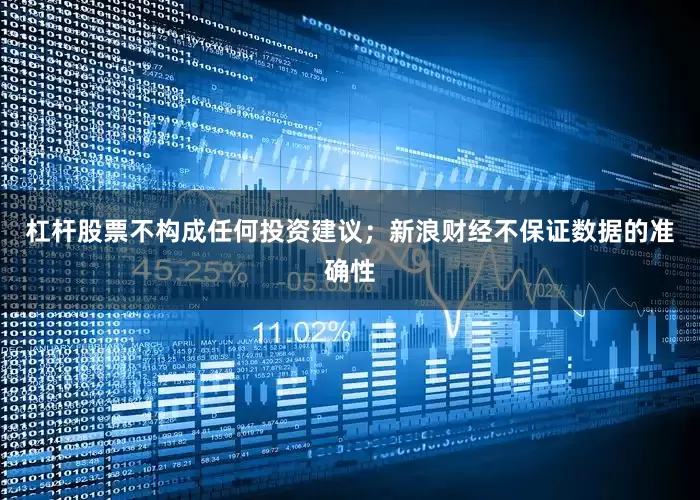 杠杆股票不构成任何投资建议；新浪财经不保证数据的准确性